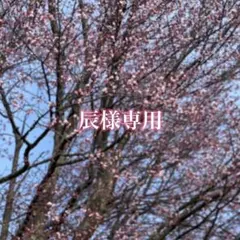 Item thumbnail for item 28d66bad-b9b6-4409-af3c-3ecabe27905f