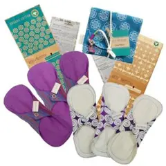 Item thumbnail for item 54923bb2-7631-4310-9b19-03921dc26aec