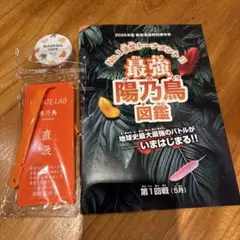 2025年最新】陽乃鳥の人気アイテム - メルカリ