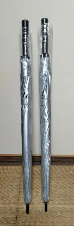 Item thumbnail for item 136ed60d-0542-4326-8e89-51dc4090b563