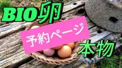 예약 접수 페이지