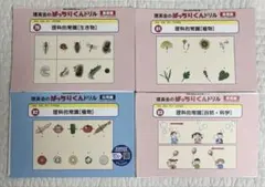 2026年最新】理英会の人気アイテム - メルカリ