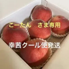 山梨の木のてっぺん桃 超特大サイズを2キロ箱に5個詰めて発送 今が旬