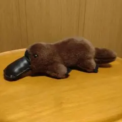 Item thumbnail for item 426bfe34-7d6c-4fb8-bbcf-fad3a2403d98