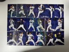 プロ野球チップス2016 侍ジャパン 18枚セット
