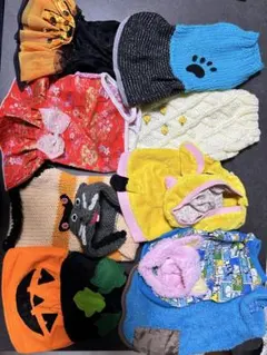 Item thumbnail for item cc2b1760-f28e-43bb-a504-ce1c0a4cb4e6