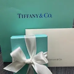 Tiffany & Co. オープンハートペンダント 11mm