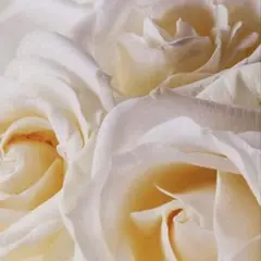 ❤️まる様❤️専用