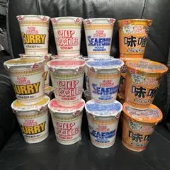 日清　カップヌードル4種　全20個 セットのサムネイル