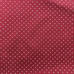 キャスキッドソン 生地　デニム　赤ドット