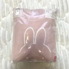 Item thumbnail for item 0a2b38ab-697d-4dd0-841b-ef2fa7e0d940