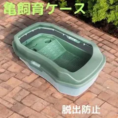 新品　亀 カメ 飼育ケース 水槽 ミドリガメ ザリガニ カニ ペット　ケースのサムネイル