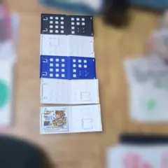 ニンテンドー3DSケースのみ　５点