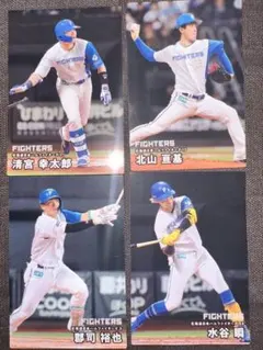 カルビー プロ野球チップスカード 北海道日本ハムファイターズ 4枚セット