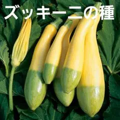 111様 リクエスト 2点 まとめ商品