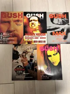 GUSH 音楽雑誌 5冊セット