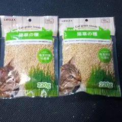 고양이 풀 씨앗 220g x 2개 익일 배송 엔무 애완견/고양이 풀 씨앗 유통기한 연장 무농약