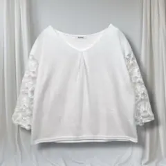 Item thumbnail for item 1f333425-b376-41f5-8886-e7f49cedc361