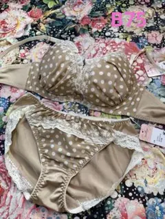 水玉模様 エメフィール系　サテン風　つる　光沢　B75/L