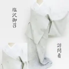 Club藤★塩沢御召 訪問着 蝶々文様 カジュアル着物 御仕立上り(3419)