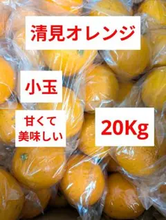 不知火デコポン　甘くて 美味しい　2０Kg 不知火 デコポン 甘くて美味しい 20Kg - メルカリ