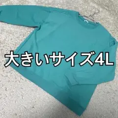お値下げ品★大きいサイズ 4L 裏起毛トレーナー グリーン系