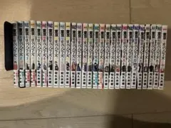 ニーチェ先生 全巻セット 1〜24巻 ハシモト 松駒 - メルカリ