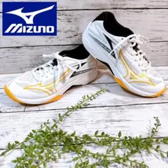 ミズノ ウエーブクロー 4 FIT 28.cm ミズノ ウエーブクロー 4 FIT 28.cm - メルカリ