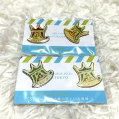 嵐 君と僕の見ている風景　会場限定ピンバッジセット　東京　福岡　ピンバッチ 2点のサムネイル
