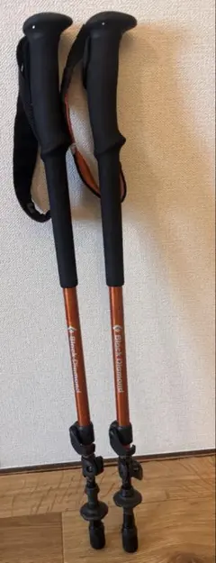 スキーストック GABEL 2015年製 伸縮可能 カーボン製 - メルカリ