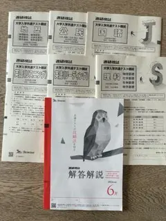 2026年度6月 進研模試 大学入学共通テスト模試 - メルカリ