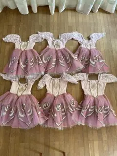 大人用バレエドレス 6点セット ピンク