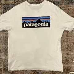 パタゴニア P-6ロゴ Tシャツ 白 L オーガニックコットン アウトドア古着