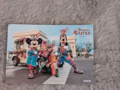 【匿名配送】【9/30まで値下げ中】ファッショナブルイースター　2018スペフォ