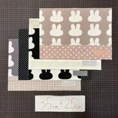 35×25 4枚セット　ランチョンマット　ランチクロス　ナフキン　ハンドメイド