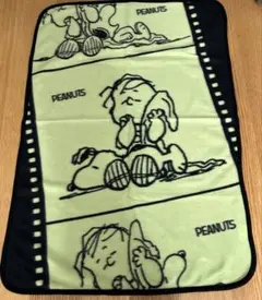 Item thumbnail for item 47a4d327-6cc8-4f7e-8ce3-dabeac9902fa