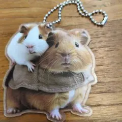 Item thumbnail for item 05d98134-1fbb-425d-8f0c-bcfa4af9f77e