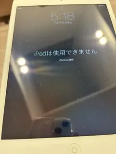 Apple iPad シルバー 使用不可