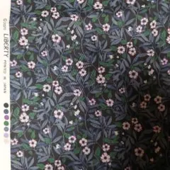 リバティ　5m　ブライトンブロッサム　雅姫　タナローン　ホビーラホビーレ