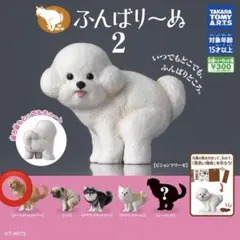 ふんばりーぬ 2 ゴールデンレトリバー