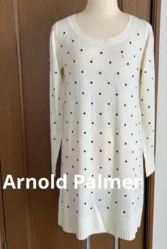 Arnold Palmer 【美品】ニットワンピース　ドット刺繍　オフホワイト2