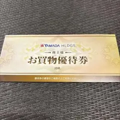 YAMADA HLDGS ヤマダ電機 お買物優待券 10枚セット