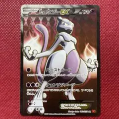 ぺったまくん様 リクエスト 2点 まとめ商品