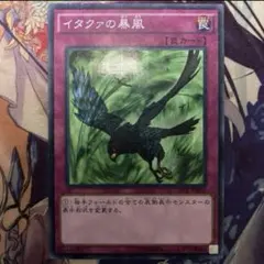 イタクァの暴風 2期 ウルトラレア 遊戯王 - メルカリ
