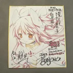 美品】劇場版魔法少女まどか☆マギカ［新編］ 叛逆の物語 入場者特典