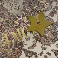 クリスチャンディオール✨チャーム✨非売品