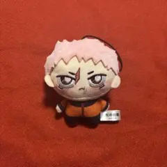 2026年最新】ちょぴぬい 虎杖の人気アイテム - メルカリ