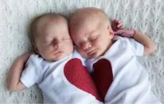 新品　双子ベビー用ふたりでハート型になるロンパース　半袖　新生児用
