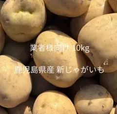 残りわずか‼️徳島産無農薬いんかのめざめ新じゃがいもMLサイズ10キロ