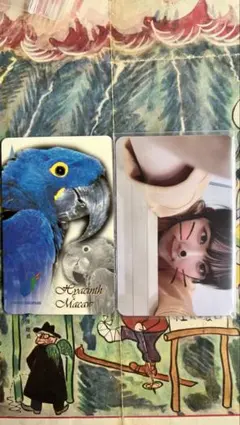 Bad boy アイリーン トレカ